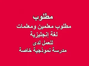 مطلوب معلمين ومعلمات لغة انجليزية