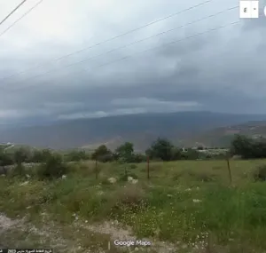 ارض على شارع رئيسي 30 متر في الصبيحي ابو بصيلة مميزة جدآ