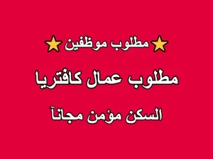 مطلوب عمال كافتيريا