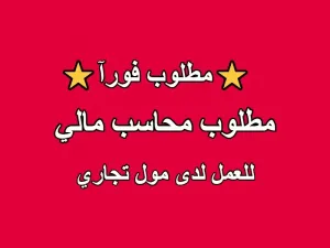 مطلوب محاسب مالي للعمل لدى مول تجاري