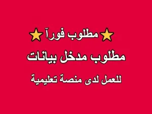 مطلوب مدخل بيانات (Data Entry) للعمل لدى منصة تعليمية . يجيد استخدام الكمبيوتر