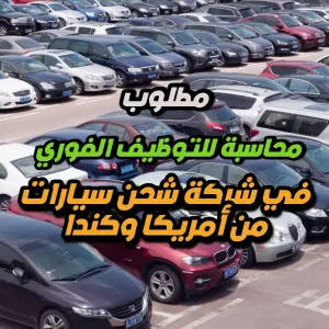 مطلوب موظفة محاسبة للتوظيف الفوري لدى شركة شحن سيارات من أمريكا وكندا