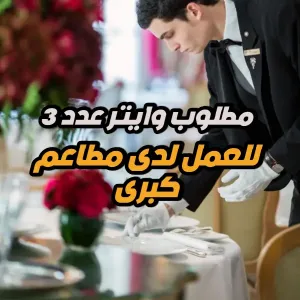 مطلوب وايتر عدد 3 للعمل في مطاعم كبرى