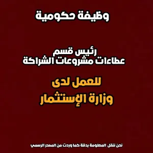 إعلان توظيف: رئيس قسم عطاءات مشروعات الشراكة – وزارة الاستثمار