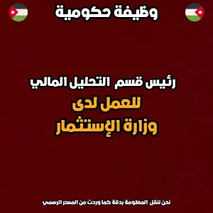 مطلوب رئيس قسم تحليل مالي – وزارة الاستثمار