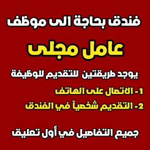 فندق بحاجة الى موظف - عامل مجلى استيورد