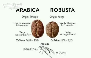 معلم تحميص قهوة خبرة 18 عاما