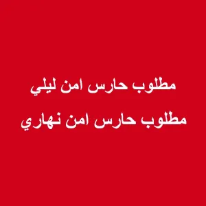 حارس أمن نهاري و ليلي