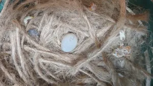 بعد الصلاة عالنبي جوز جنة شاركول حجم سوبر