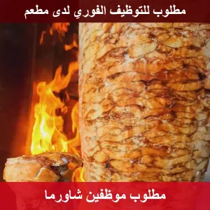 مطلوب موظفين شاورما