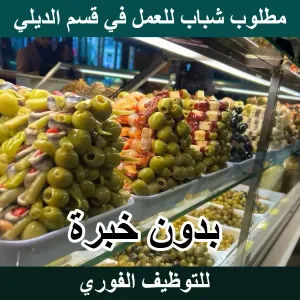 موظفين ديلي بدون خبرة