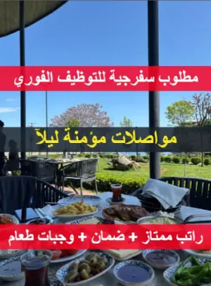 مطلوب موظفين سفرجية للعمل لدى مجموعة مطاعم