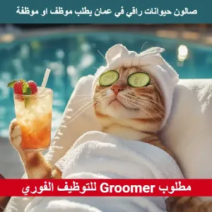 مطلوب موظف او موظفة Groomer للتوظيف الفوري في صالون حيوانات في عمان