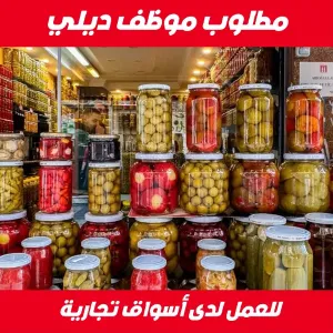 مطلوب موظف ديلي