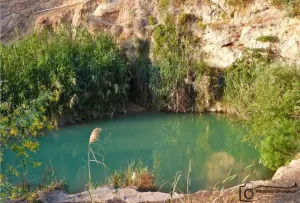 🌿 من المالك مباشرة (سعر حرق)– أرض زراعية للبيع / خريسان – طريق جرش–الزرقاء  المساحة: 3 دونم و419 م²