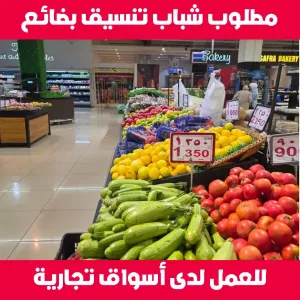 مطلوب شباب تنسيق بضائع