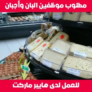 مطلوب موظفين البان و اجبان