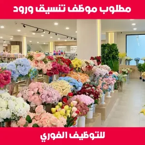 مطلوب منسق ورود