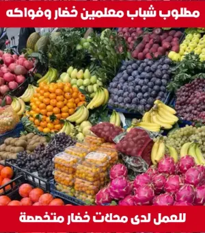 مطلوب شباب معلمين خضار وفواكه
