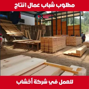 مطلوب شباب للعمل في شركة اخشاب