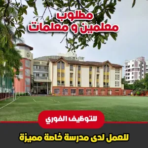 مطلوب معلمين و معلمات