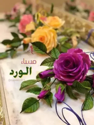 ابحث عن عمل