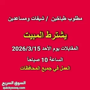 مطلوب شيفات رئيسي - و ديبارتي شيف و كومي شيف و سو شيف