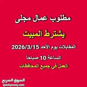 مطلوب عمال مجلى شرط المبيت