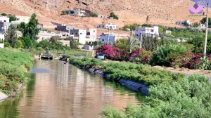 ارض و منزل و مخازن عدد 2 على شارع رئيسي ومقابل مدرسه