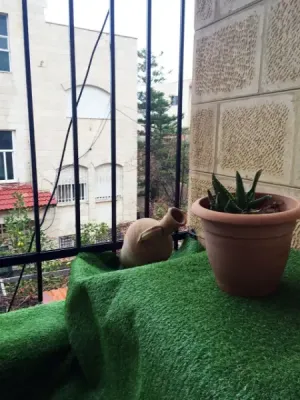 Furnished Apartment for Rent – Daily, Monthly, or Yearly