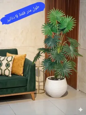 ✨🌿   شجر زينة صناعي فاخر يمنح منزلك جمال