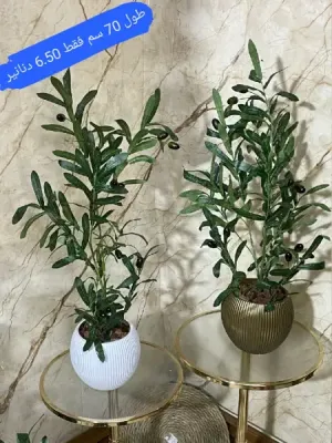 ✨🌿   شجر زينة صناعي فاخر يمنح منزلك جمال