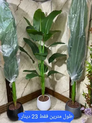 ✨🌿   شجر زينة صناعي فاخر يمنح منزلك جمال