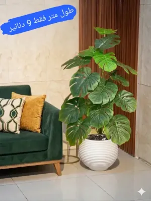 ✨🌿   شجر زينة صناعي فاخر يمنح منزلك جمال