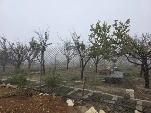 ارض للبيع من اراضي  جنوب  غرب عمان ـ ناعور