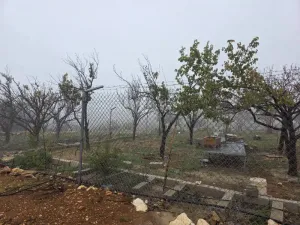ارض للبيع من اراضي  جنوب  غرب عمان ـ ناعور