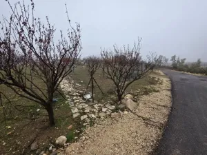 ارض للبيع من اراضي  جنوب  غرب عمان ـ ناعور