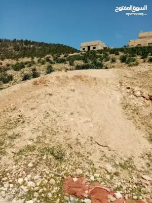 ارض للبيع في مرصع على حدود أراضي عمان