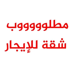 مطلوب شقة غرفة للايجار