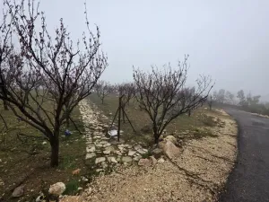 أرض للبيع في منطقة ناعور حوض أبو الغزلان