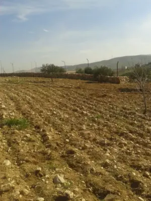 أرض للبيع في الزرقاء.. صروت