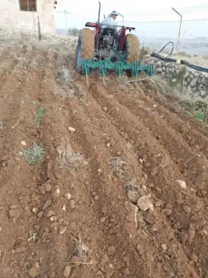 أرض للبيع في الزرقاء.. صروت